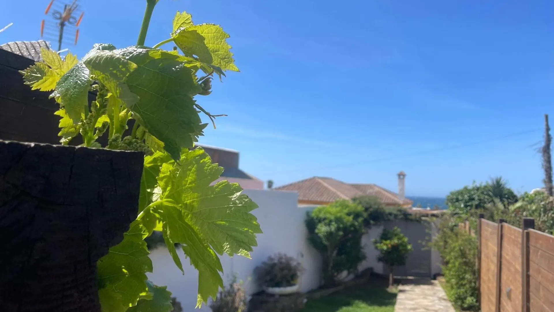 Сasa de vacaciones Villa Sol de Bolonia 5